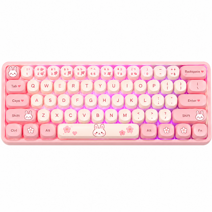 Cute Compact Keyboard for Everyday Life